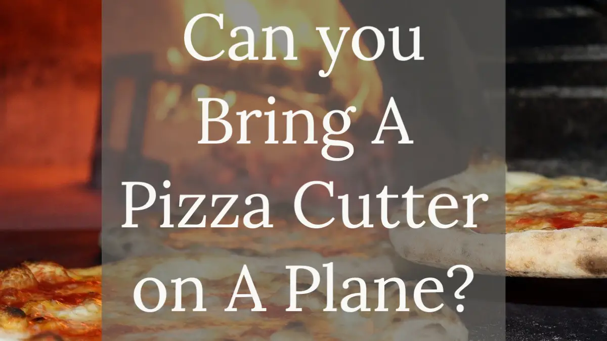 Can I Bring A Pizza On A Plane Solved Pizza Informer